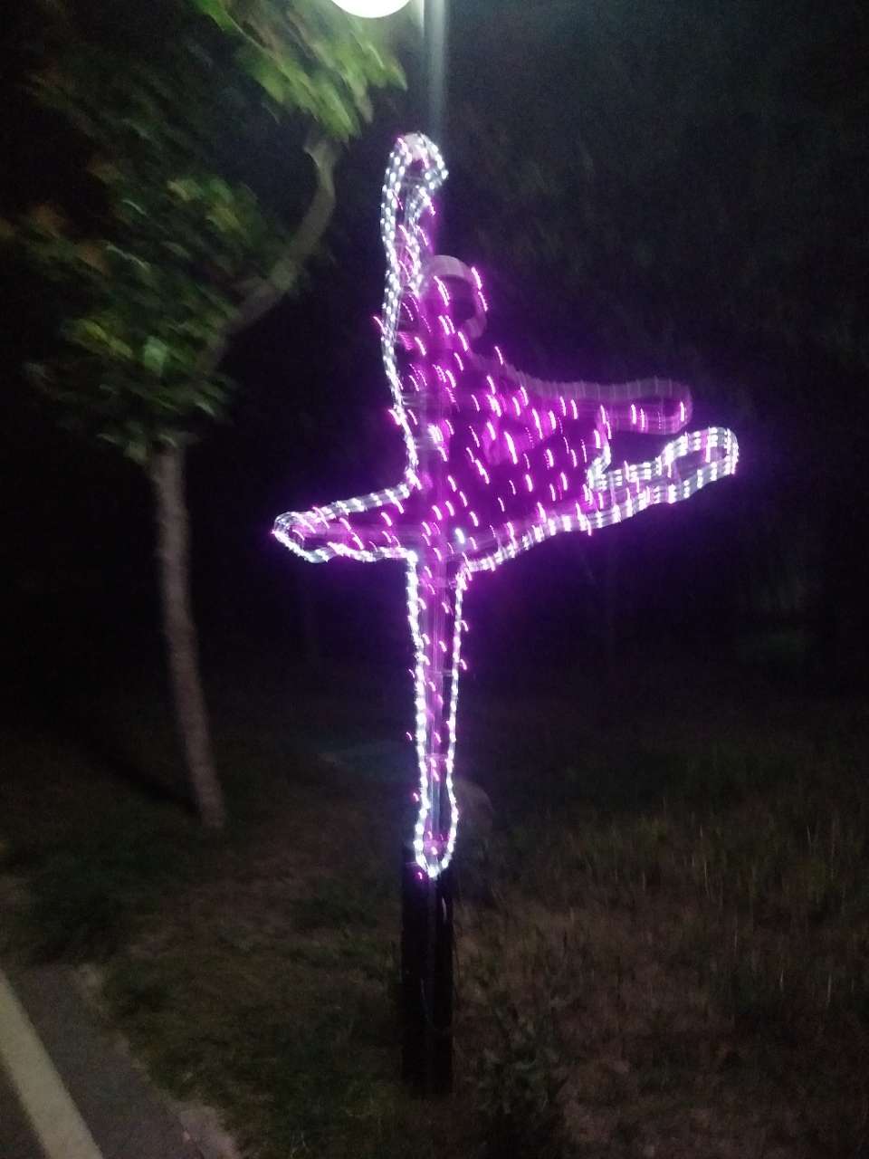 华佗百草园夜游灯光秀