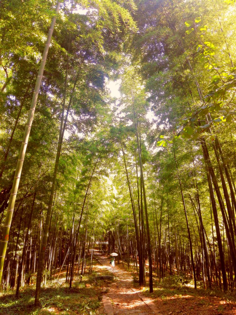 采石公园的万竹坞