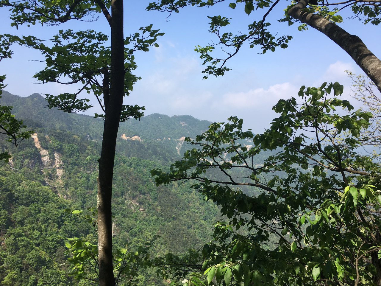 五一游六安马宗岭保护区