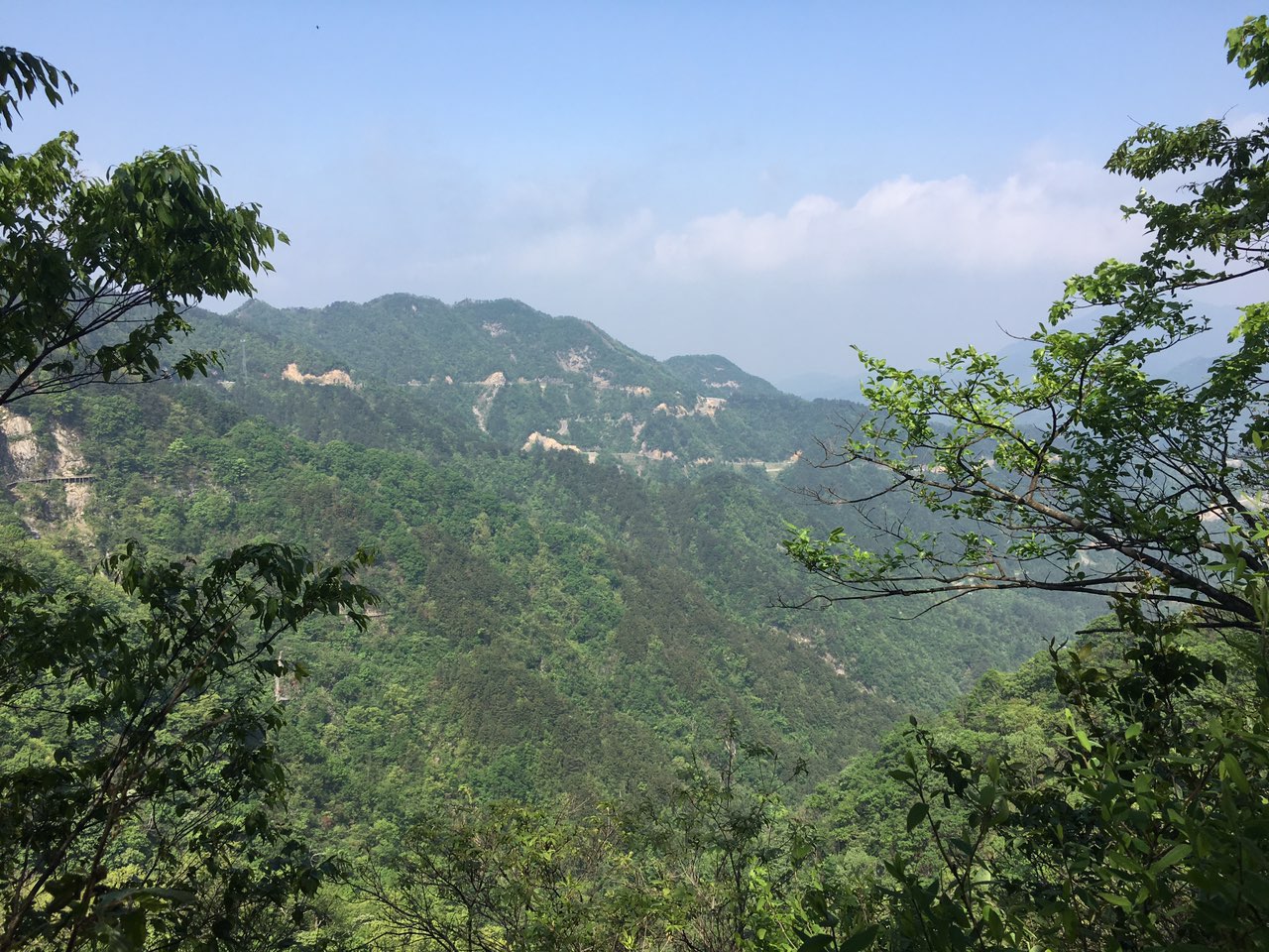 五一游六安马宗岭保护区