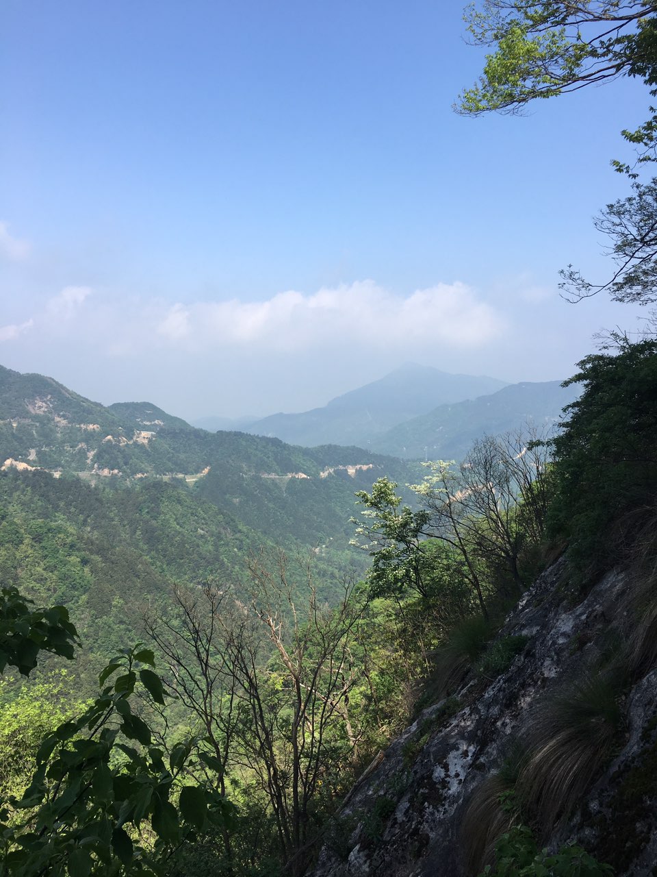 五一游六安马宗岭保护区