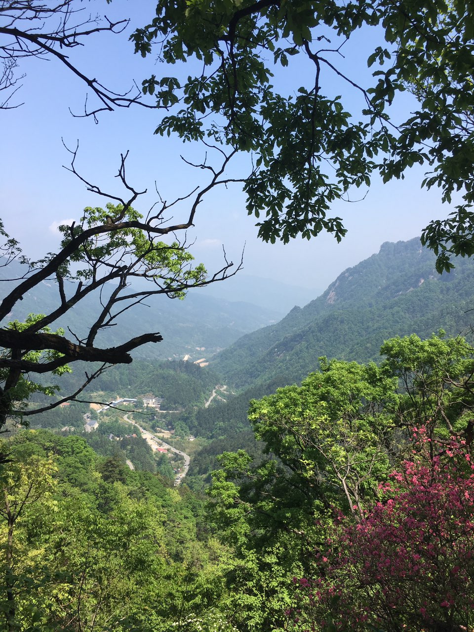 五一游六安马宗岭保护区