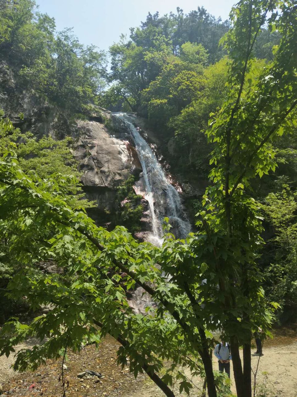 五一游六安马宗岭保护区