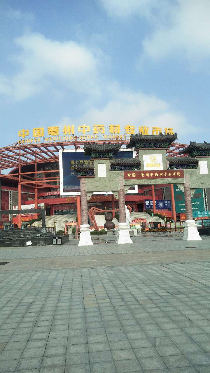 安徽亳州中药材大市场是不是全国最大药材市场?
