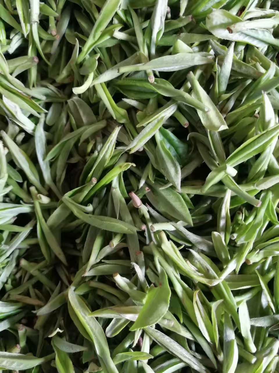 石台富硒茶叶农产品专营店